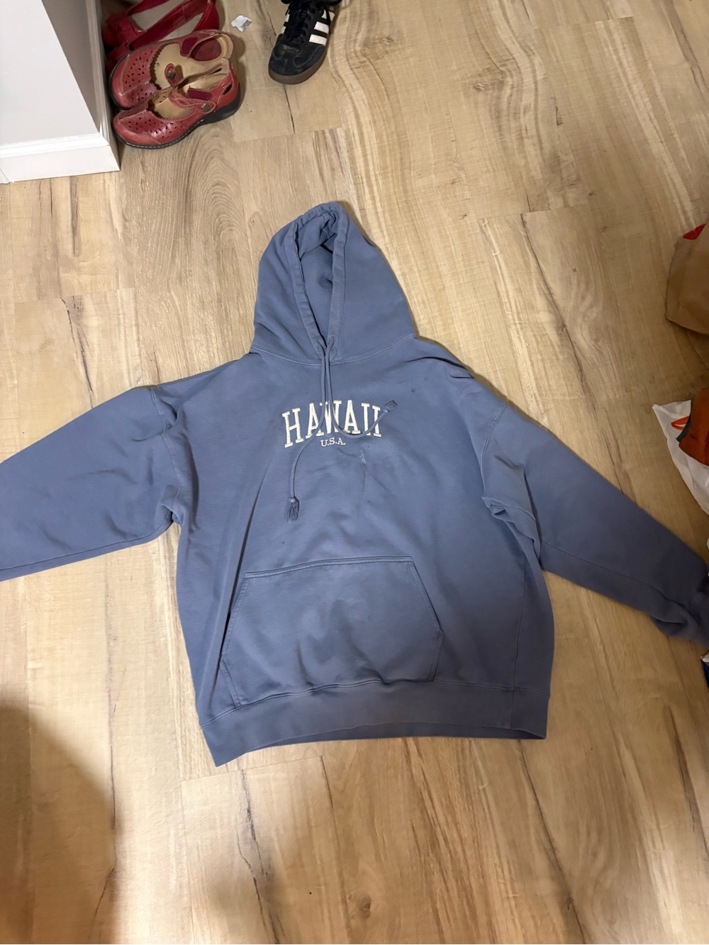 Brandy Melville hoodie